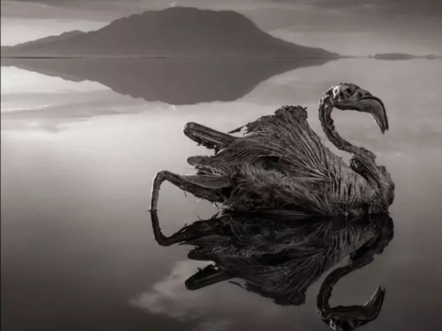 Imagem lago-natron